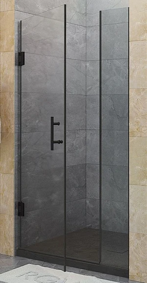 Душевая дверь в нишу RGW Hotel 120*195 профиль черный матовое стекло без поддона