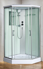 Душевая кабина WeltWasser WW500 Premium Nesse 902 90х90х217